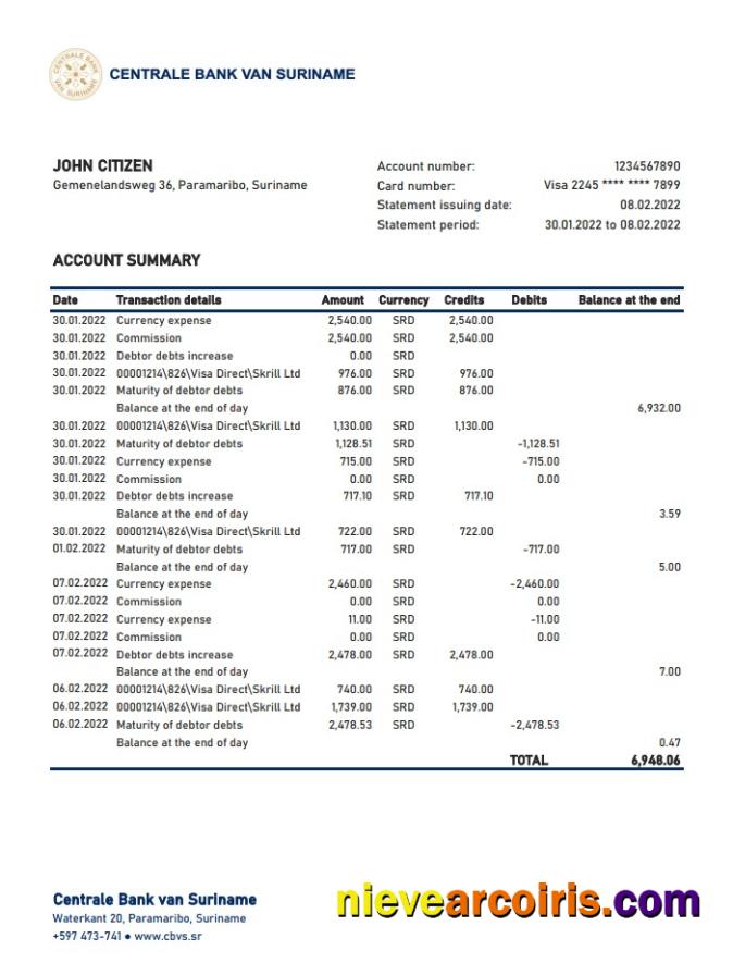 Suriname Centrale Bank Van Suriname bank stetement xls